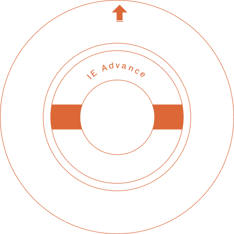 IE Advance process wheel